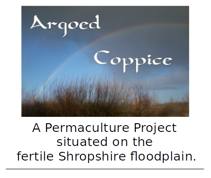 Argoed Coppice